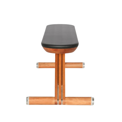 ASCEND Advanced Strength Gym Weight Bench