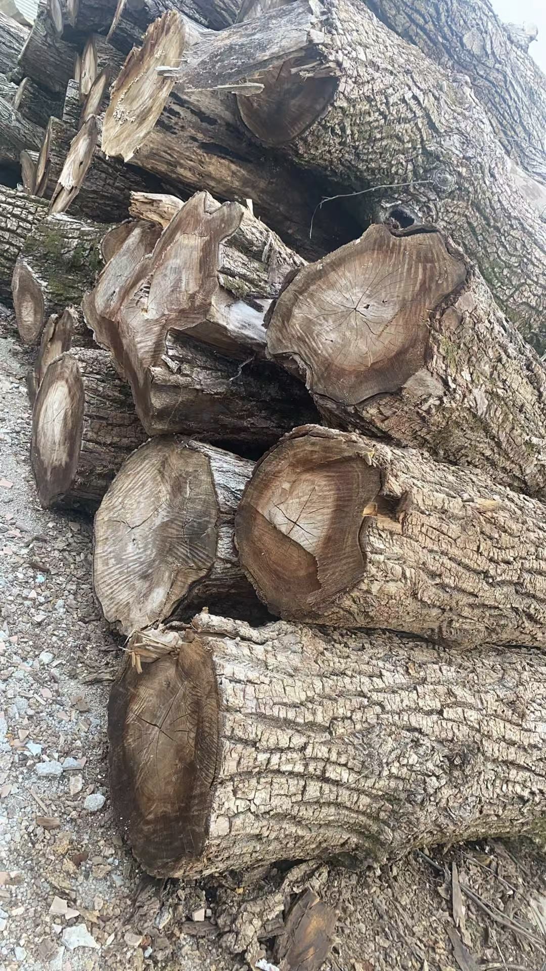 Wabi-sabi Live Edge Wood Bed - Urban Ashram