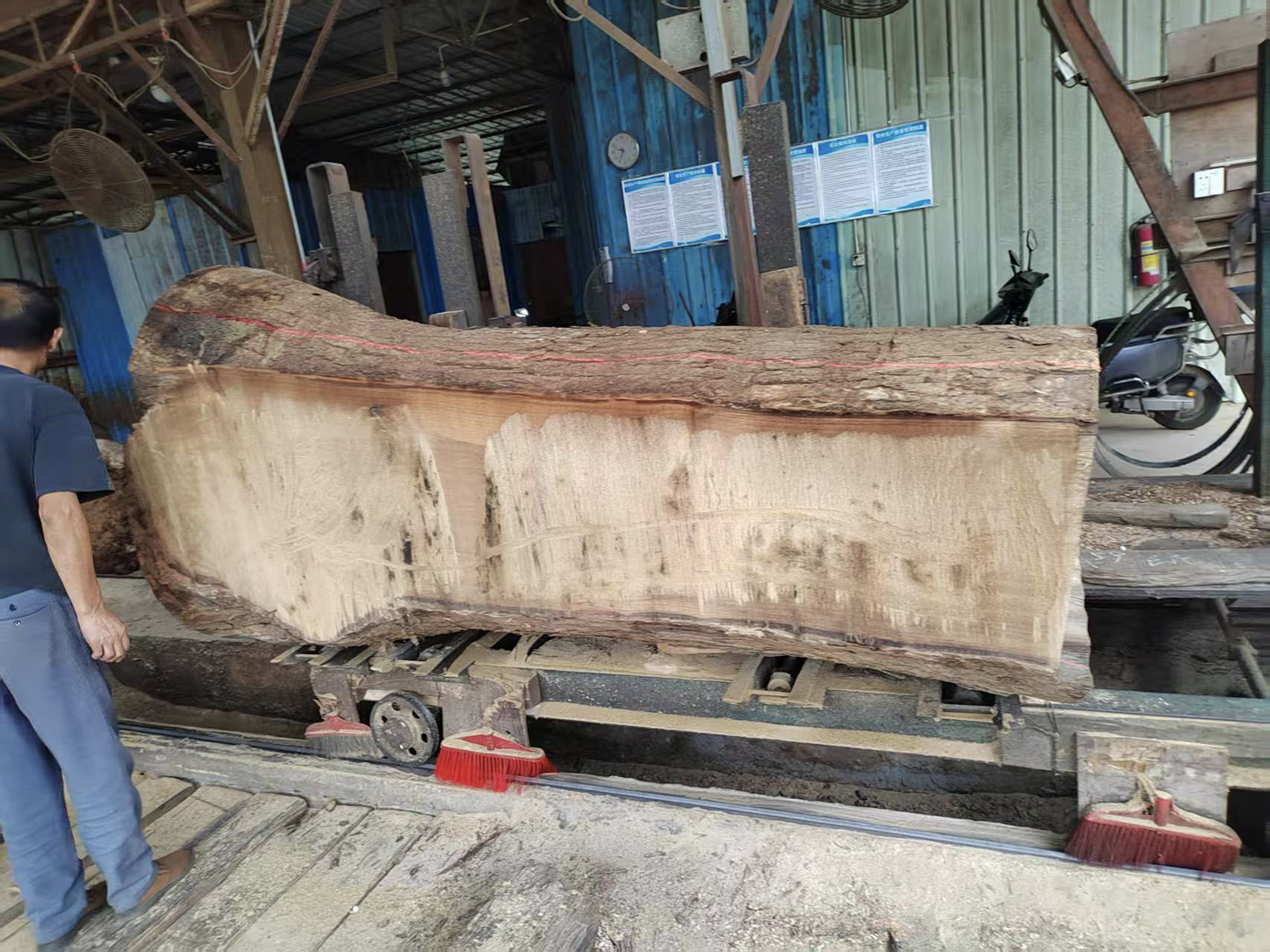 Wabi-sabi Live Edge Wood Bed - Urban Ashram