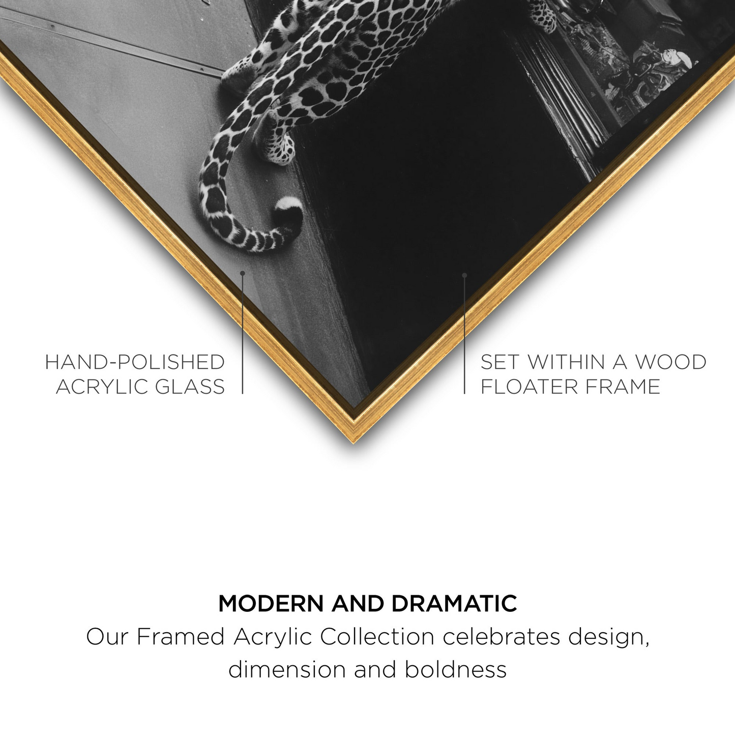 Meaty Mischief II - Framed Acrylic Art - Urban Ashram