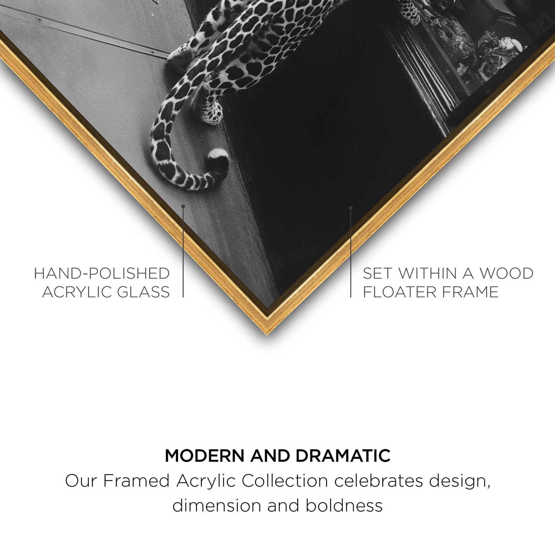 Meaty Mischief II - Framed Acrylic Art - Urban Ashram