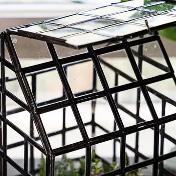 Lattice House Glass Terrarium Modern Greenhouse Planter - Urban Ashram