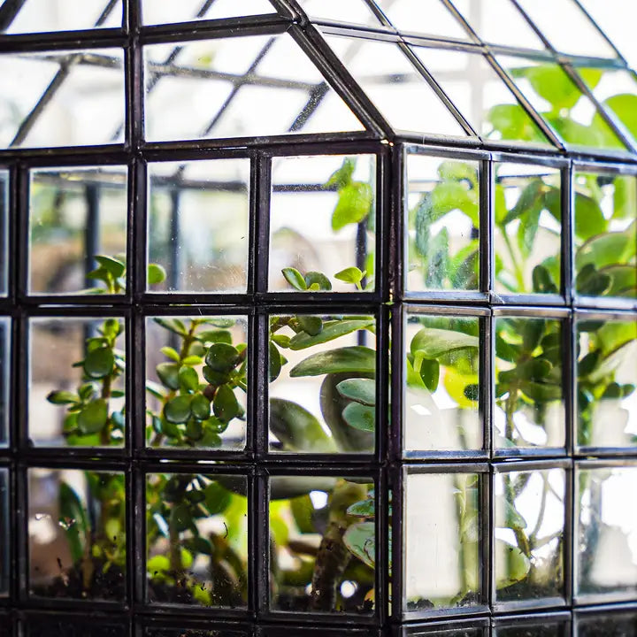 Lattice House Glass Terrarium Modern Greenhouse Planter - Urban Ashram