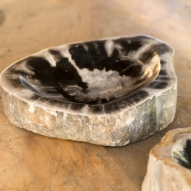 Petrified Wood Bowl - Urban Ashram