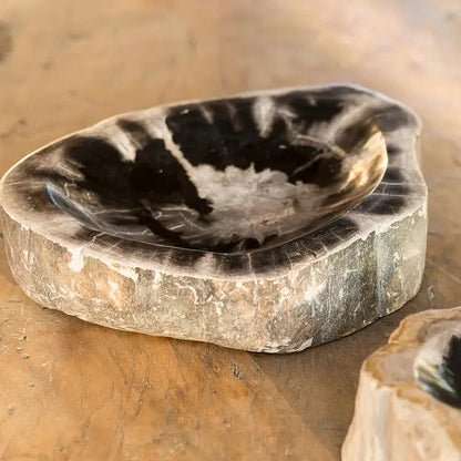 Petrified Wood Bowl - Urban Ashram