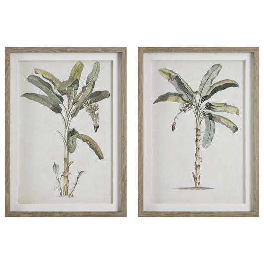 Banana Palm Framed Prints,Set of 2
