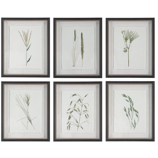 Forest Finds Framed Prints,Set of 6