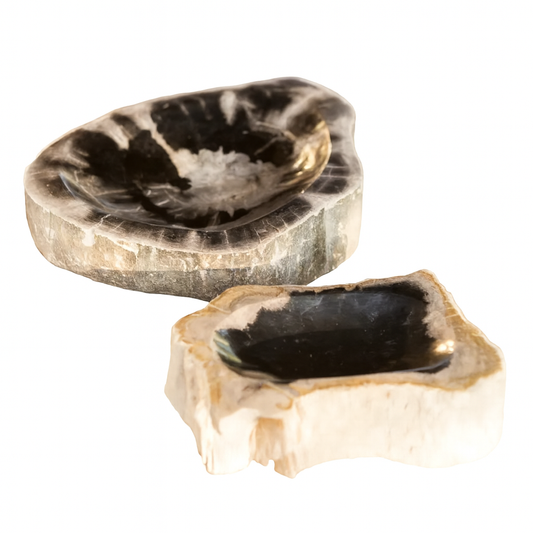 Petrified Wood Bowl